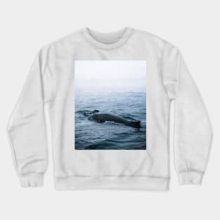 Humpback whale in the minimalist fog - photographing animals Crewneck Sweatshirt